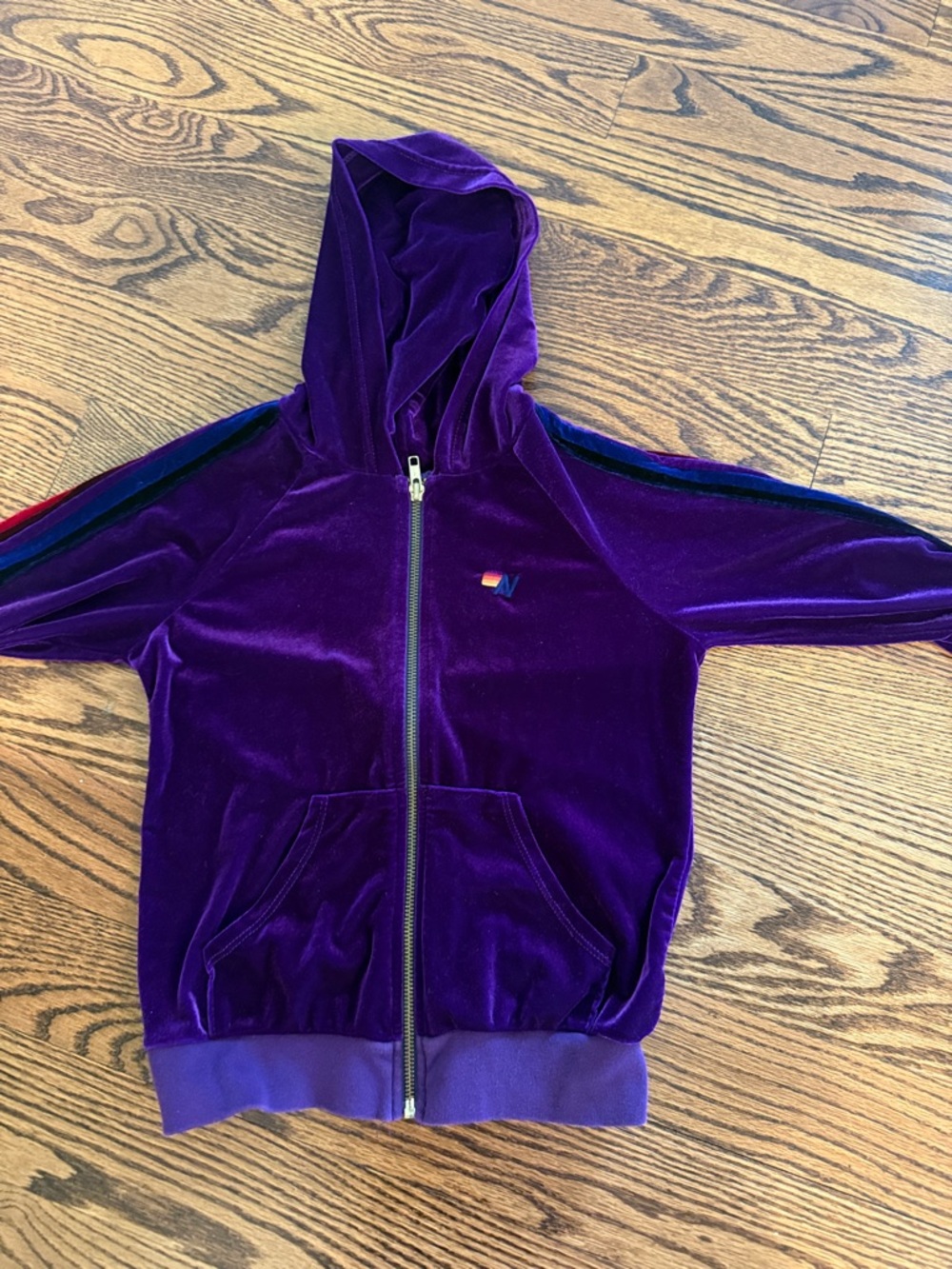 Aviator Nation Purple Velour Zip Hoodie with Rainbow Shoulder Stripes